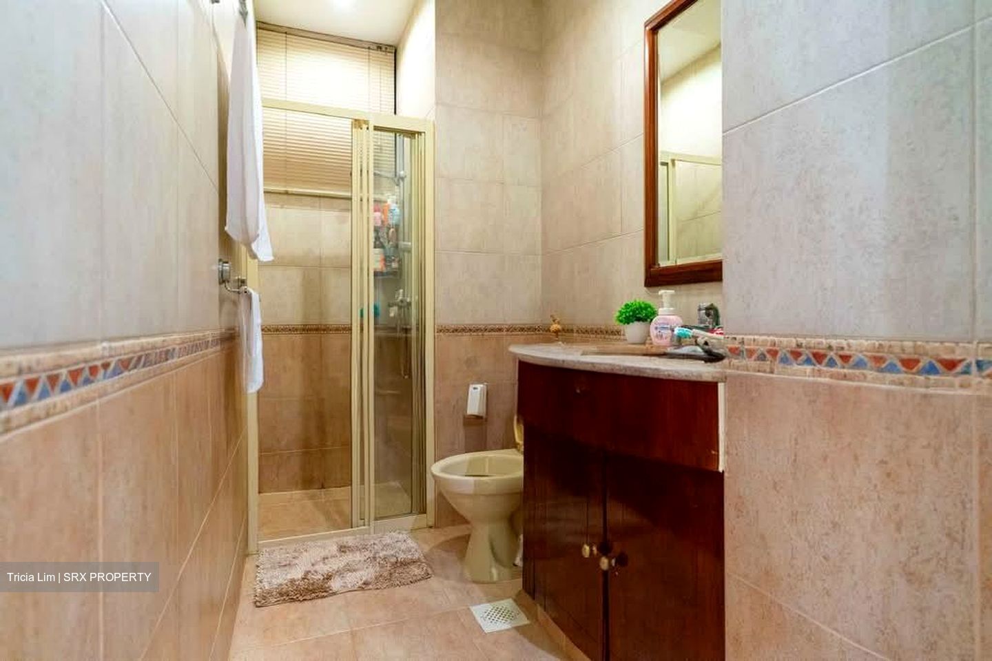 Bishan 8 (D20), Condominium #558481481